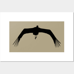 White Stork (Ciconia ciconia) Bird Wings Flapping Silhouette Posters and Art